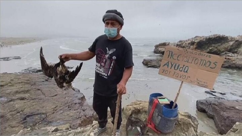 Derrame de petróleo en Perú: una negligencia que se cobró la fauna y seguirá afectando vidas